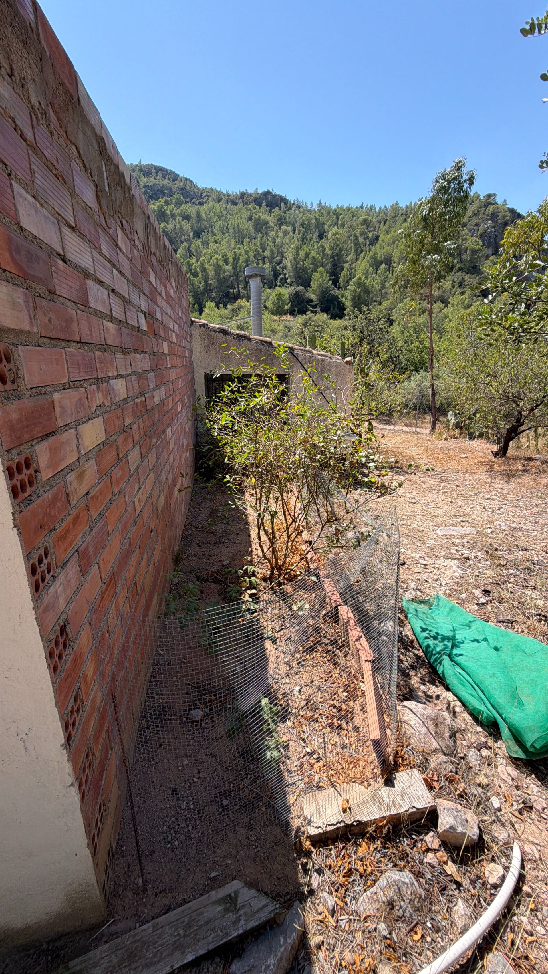 ++ Finca rustical en Vandellos ++ - Image 47
